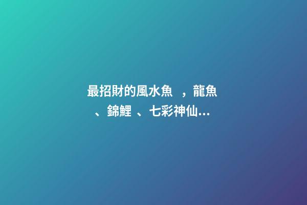 最招財的風水魚，龍魚、錦鯉、七彩神仙魚